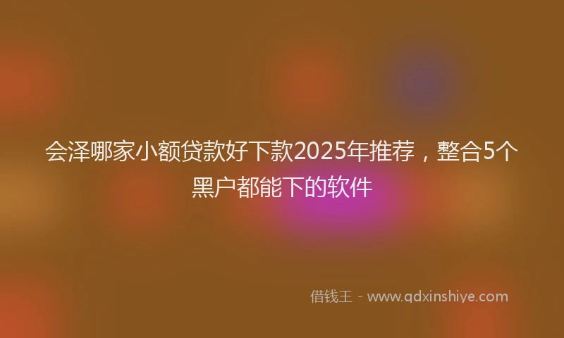 会泽哪家小额贷款好下款2025年推荐，整合5个黑户都能下的软件