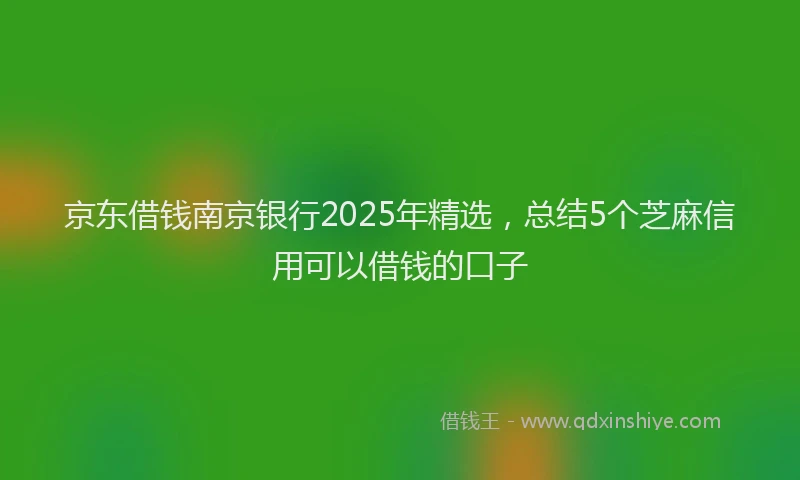 京东借钱南京银行2025年精选，总结5个芝麻信用可以借钱的口子