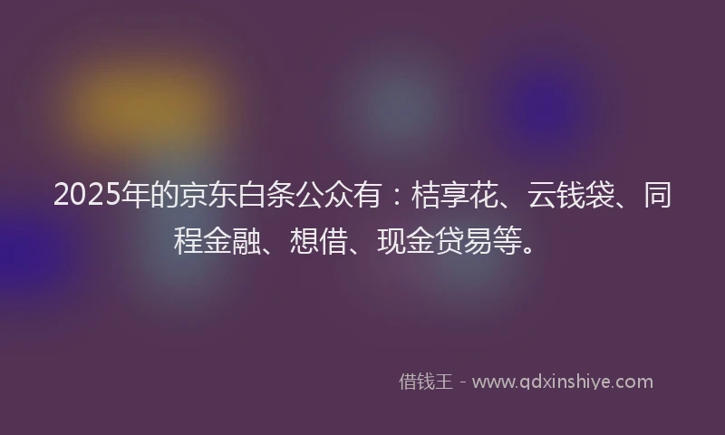 2025年的京东白条公众有：桔享花、云钱袋、同程金融、想借、现金贷易等。