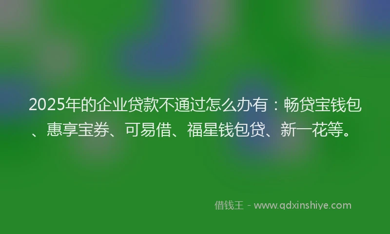 2025年的企业贷款不通过怎么办有：畅贷宝钱包、惠享宝券、可易借、福星钱包贷、新一花等。