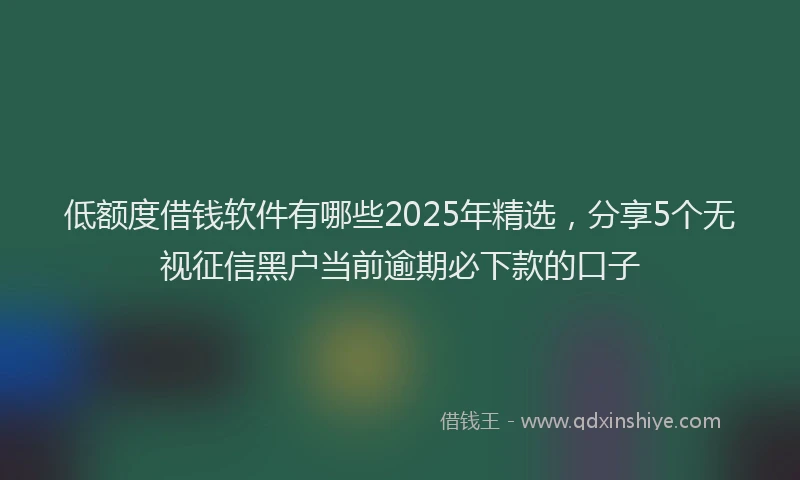 低额度借钱软件有哪些2025年精选，分享5个无视征信黑户当前逾期必下款的口子