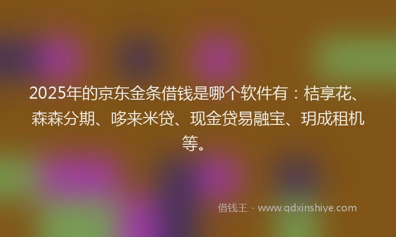 2025年的京东金条借钱是哪个软件有：桔享花、森森分期、哆来米贷、现金贷易融宝、玥成租机等。