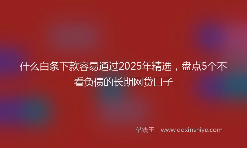 什么白条下款容易通过2025年精选，盘点5个不看负债的长期网贷口子