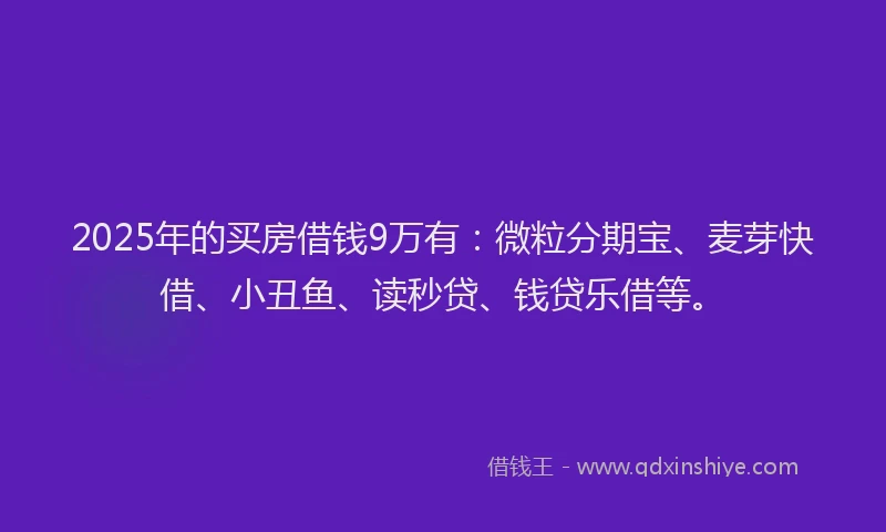 2025年的买房借钱9万有：微粒分期宝、麦芽快借、小丑鱼、读秒贷、钱贷乐借等。