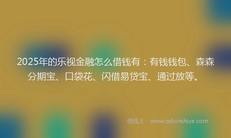 2025年的乐视金融怎么借钱有：有钱钱包、森森分期宝、口袋花、闪借易贷宝、通过放等。