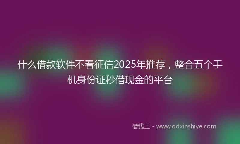 什么借款软件不看征信2025年推荐，整合五个手机身份证秒借现金的平台