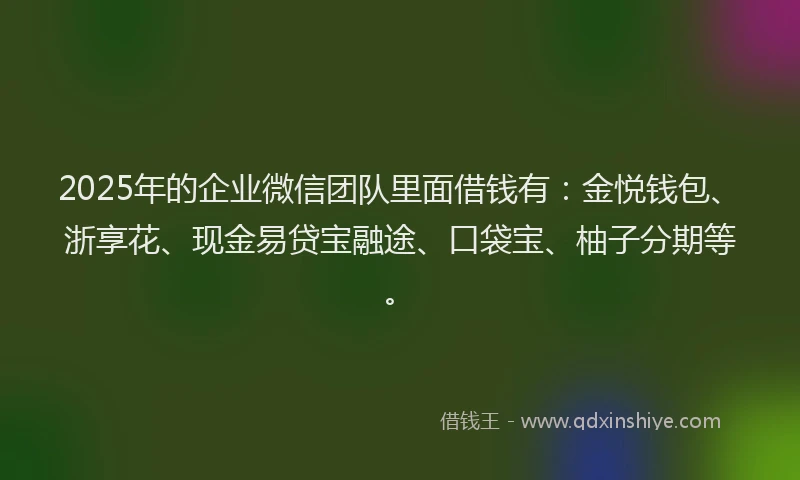 2025年的企业微信团队里面借钱有：金悦钱包、浙享花、现金易贷宝融途、口袋宝、柚子分期等。