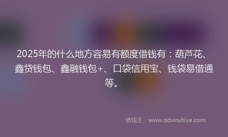 2025年的什么地方容易有额度借钱有：葫芦花、鑫贷钱包、鑫融钱包+、口袋信用宝、钱袋易借通等。