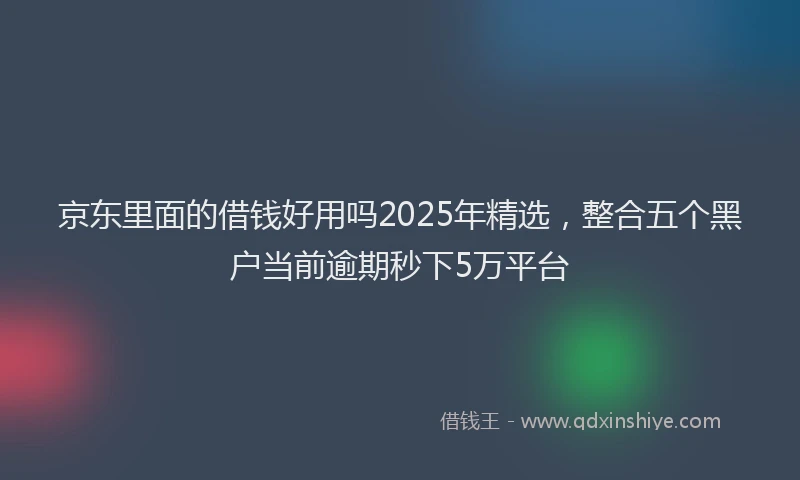京东里面的借钱好用吗2025年精选，整合五个黑户当前逾期秒下5万平台