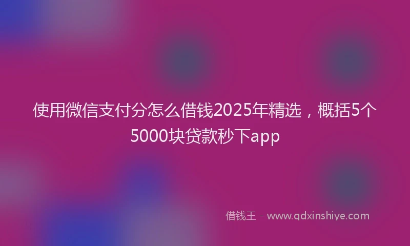 使用微信支付分怎么借钱2025年精选，概括5个5000块贷款秒下app