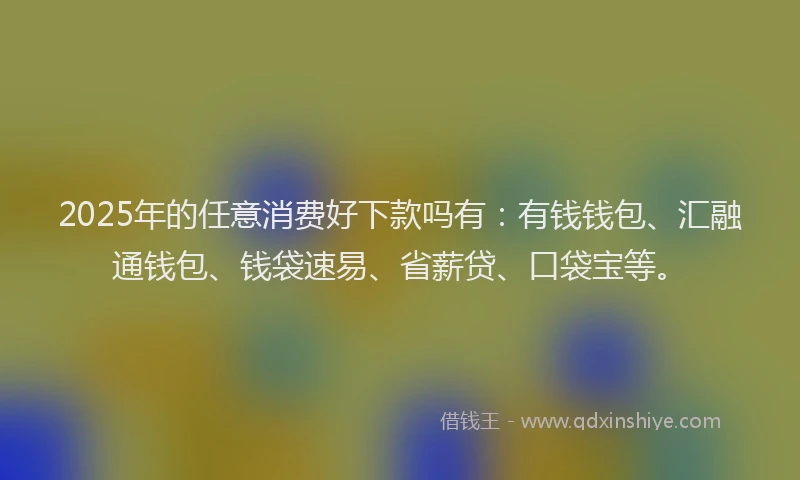 2025年的任意消费好下款吗有：有钱钱包、汇融通钱包、钱袋速易、省薪贷、口袋宝等。