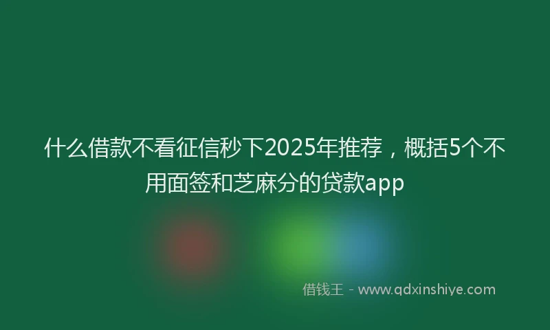 什么借款不看征信秒下2025年推荐，概括5个不用面签和芝麻分的贷款app