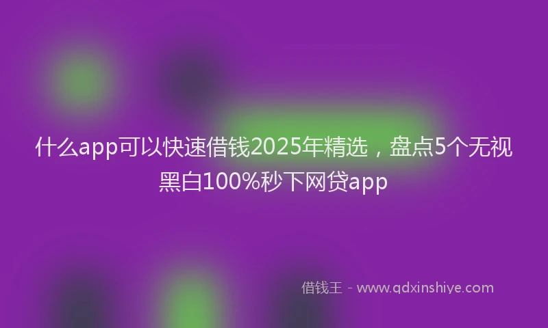 什么app可以快速借钱2025年精选，盘点5个无视黑白100%秒下网贷app