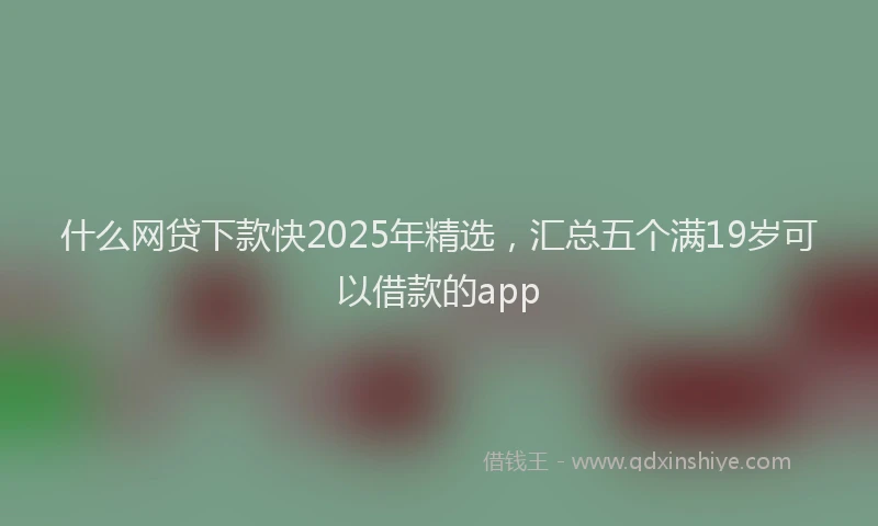 什么网贷下款快2025年精选,汇总五个满19岁可以借款的app