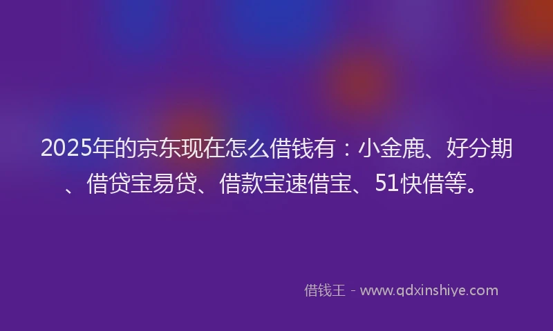 2025年的京东现在怎么借钱有：小金鹿、好分期、借贷宝易贷、借款宝速借宝、51快借等。