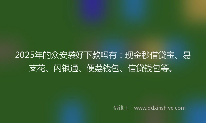 2025年的众安袋好下款吗有：现金秒借贷宝、易支花、闪银通、便荔钱包、信贷钱包等。
