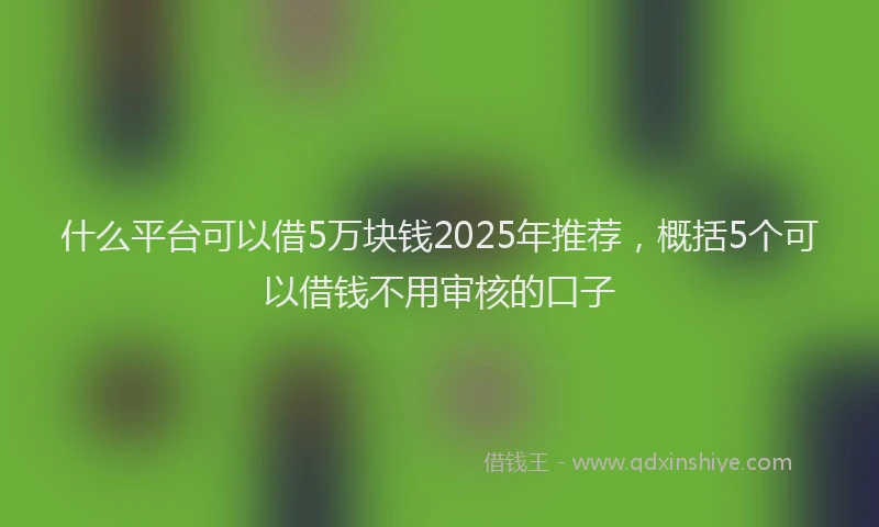 什么平台可以借5万块钱2025年推荐，概括5个可以借钱不用审核的口子