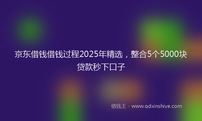 京东借钱借钱过程2025年精选,整合5个5000块贷款秒下口子