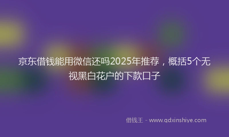 京东借钱能用微信还吗2025年推荐，概括5个无视黑白花户的下款口子