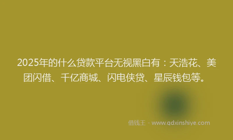2025年的什么贷款平台无视黑白有：天浩花、美团闪借、千亿商城、闪电侠贷、星辰钱包等。