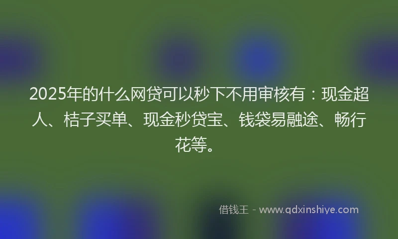 2025年的什么网贷可以秒下不用审核有：现金超人、桔子买单、现金秒贷宝、钱袋易融途、畅行花等。