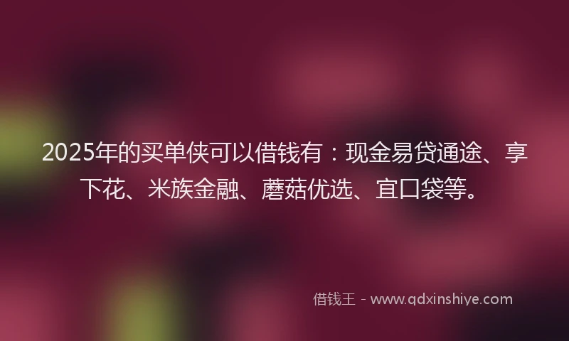 2025年的买单侠可以借钱有：现金易贷通途、享下花、米族金融、蘑菇优选、宜口袋等。