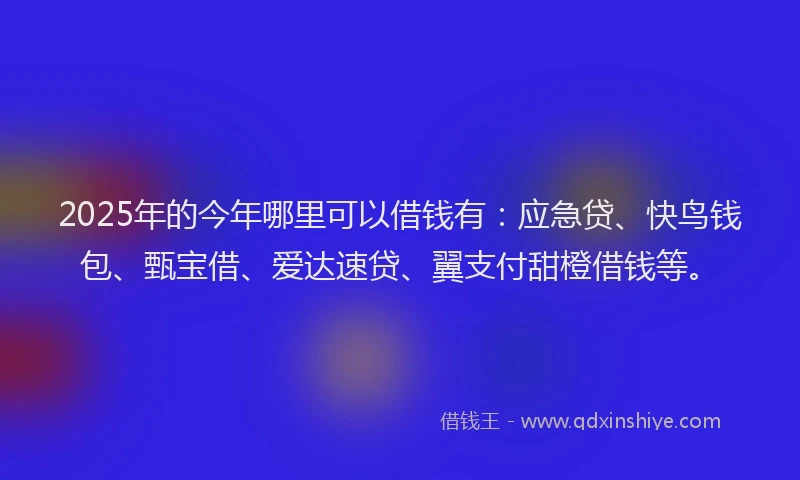 2025年的今年哪里可以借钱有：应急贷、快鸟钱包、甄宝借、爱达速贷、翼支付甜橙借钱等。