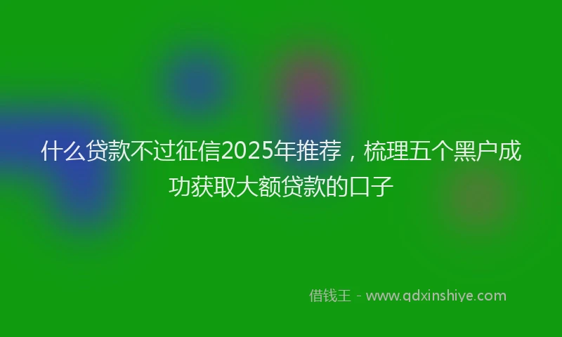 什么贷款不过征信2025年推荐，梳理五个黑户成功获取大额贷款的口子