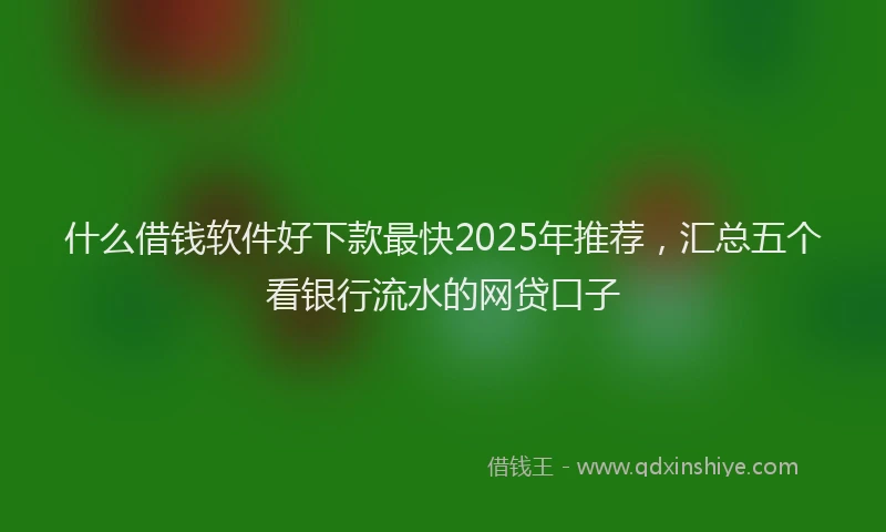 什么借钱软件好下款最快2025年推荐，汇总五个看银行流水的网贷口子