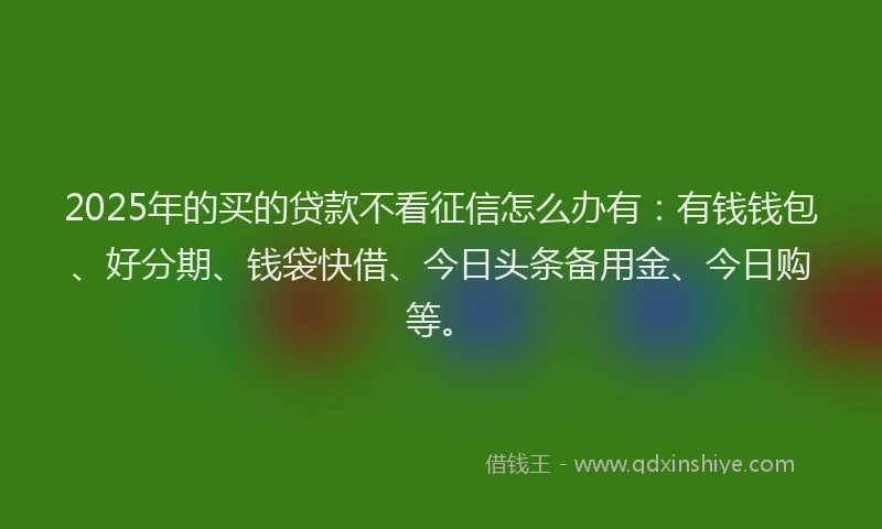 2025年的买的贷款不看征信怎么办有：有钱钱包、好分期、钱袋快借、今日头条备用金、今日购等。