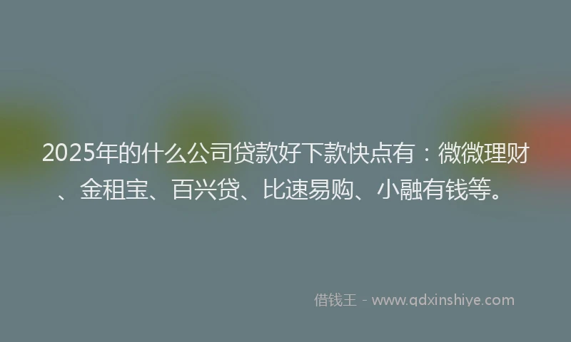 2025年的什么公司贷款好下款快点有：微微理财、金租宝、百兴贷、比速易购、小融有钱等。