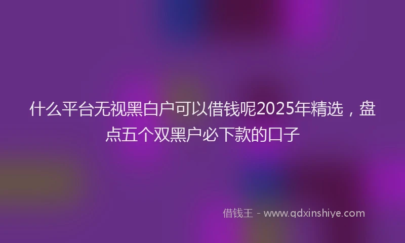 什么平台无视黑白户可以借钱呢2025年精选，盘点五个双黑户必下款的口子