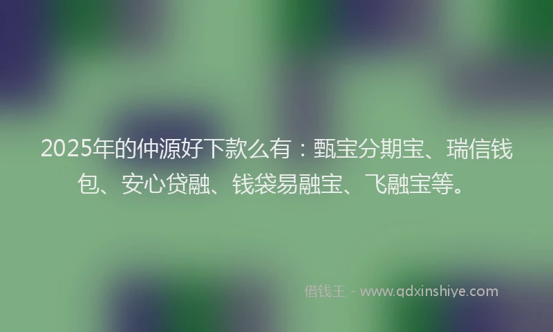 2025年的仲源好下款么有：甄宝分期宝、瑞信钱包、安心贷融、钱袋易融宝、飞融宝等。