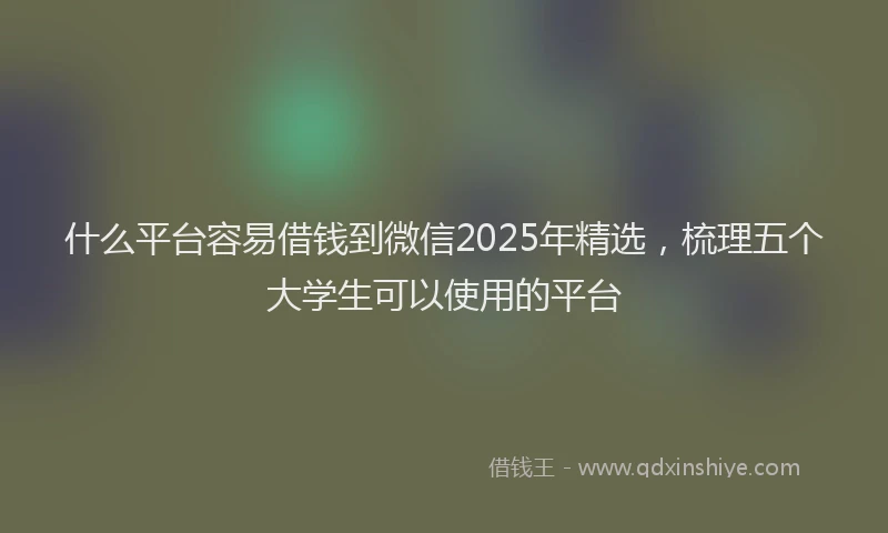 什么平台容易借钱到微信2025年精选，梳理五个大学生可以使用的平台