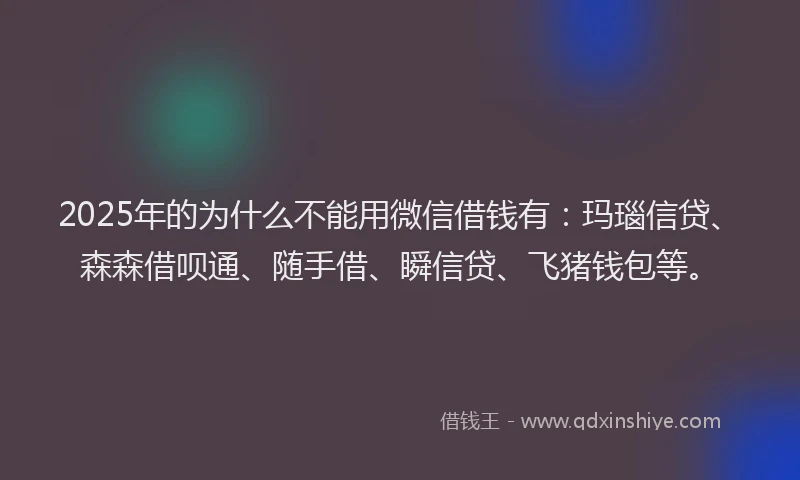 2025年的为什么不能用微信借钱有：玛瑙信贷、森森借呗通、随手借、瞬信贷、飞猪钱包等。