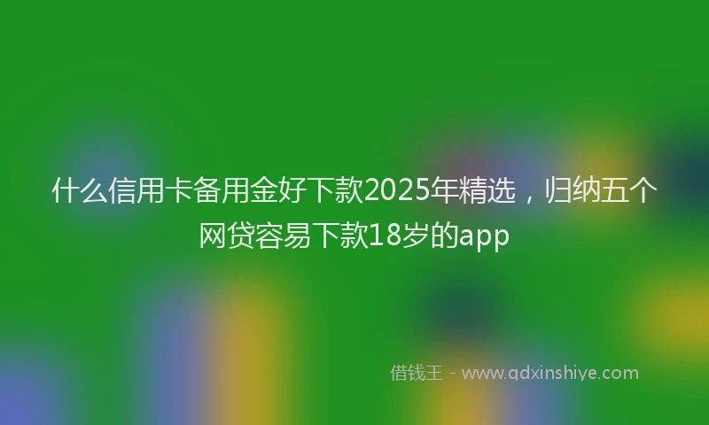 什么信用卡备用金好下款2025年精选，归纳五个网贷容易下款18岁的app