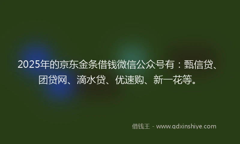 2025年的京东金条借钱微信公众号有：甄信贷、团贷网、滴水贷、优速购、新一花等。