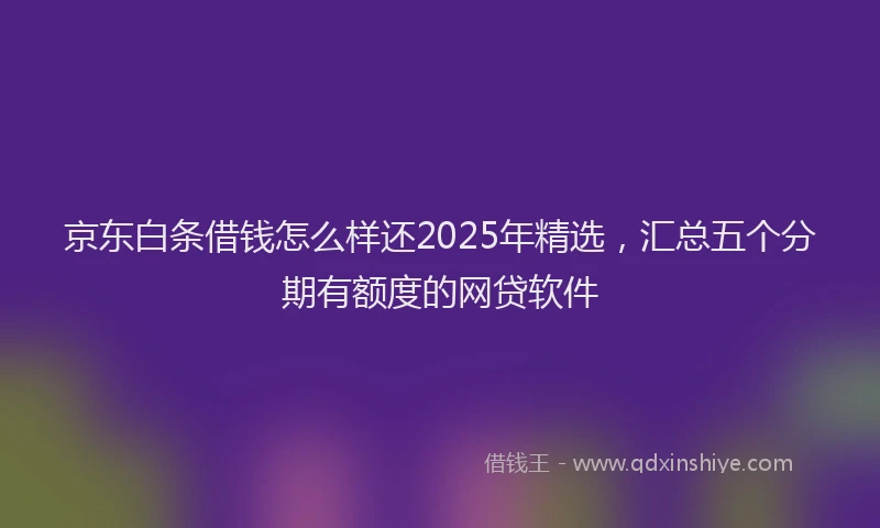 京东白条借钱怎么样还2025年精选,汇总五个分期有额度的网贷软件