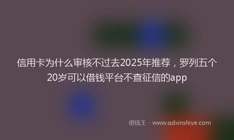 信用卡为什么审核不过去2025年推荐，罗列五个20岁可以借钱平台不查征信的app