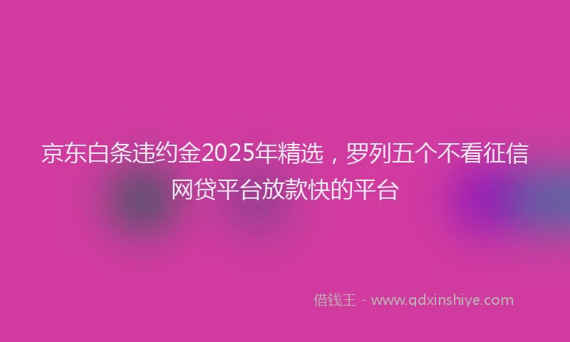 京东白条违约金2025年精选，罗列五个不看征信网贷平台放款快的平台