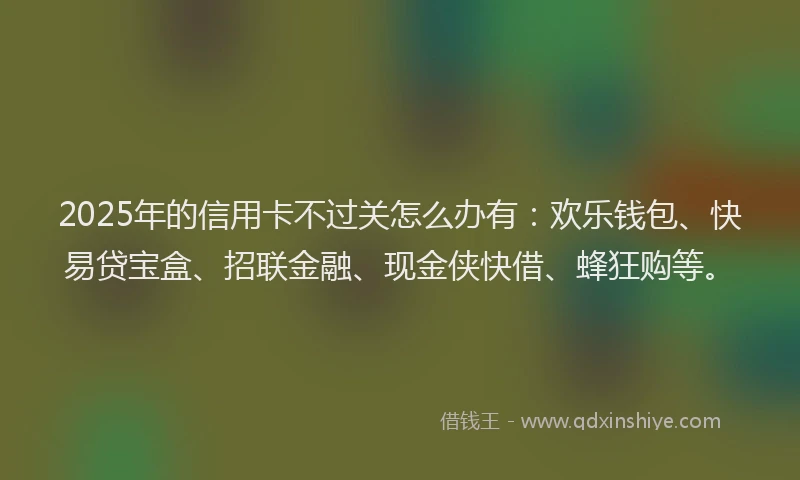 2025年的信用卡不过关怎么办有：欢乐钱包、快易贷宝盒、招联金融、现金侠快借、蜂狂购等。