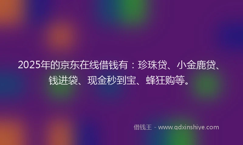 2025年的京东在线借钱有：珍珠贷、小金鹿贷、钱进袋、现金秒到宝、蜂狂购等。