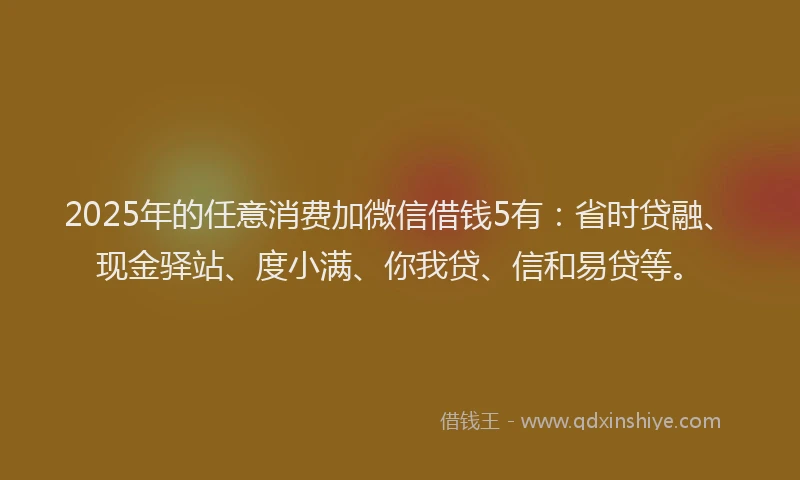 2025年的任意消费加微信借钱5有：省时贷融、现金驿站、度小满、你我贷、信和易贷等。