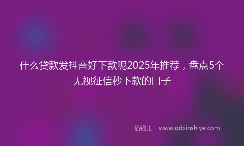 什么贷款发抖音好下款呢2025年推荐，盘点5个无视征信秒下款的口子