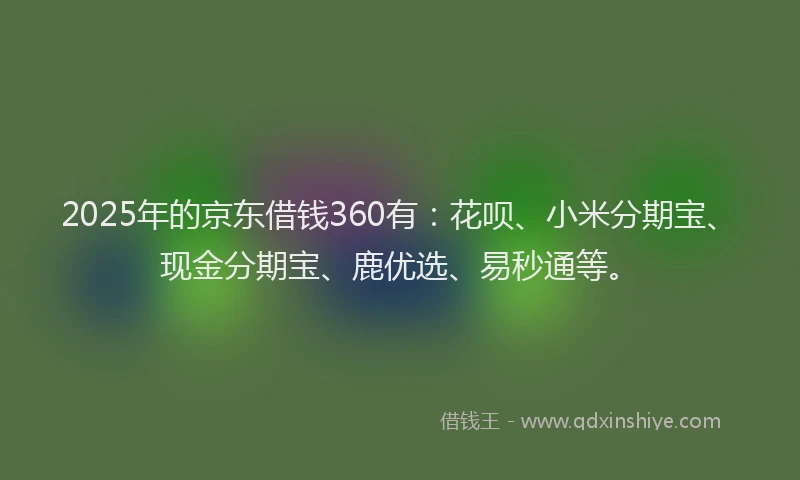 2025年的京东借钱360有：花呗、小米分期宝、现金分期宝、鹿优选、易秒通等。