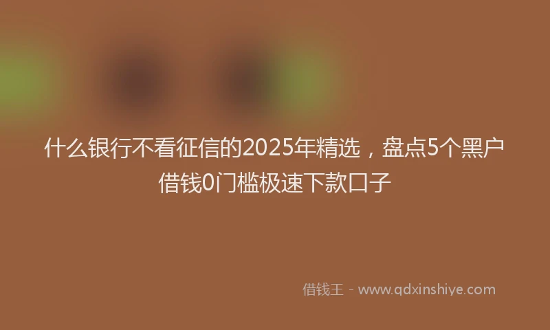 什么银行不看征信的2025年精选，盘点5个黑户借钱0门槛极速下款口子