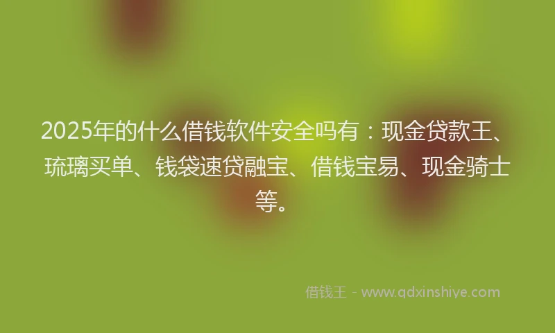 2025年的什么借钱软件安全吗有:现金贷款王、琉璃买单、钱袋速贷融宝、借钱宝易、现金骑士等。