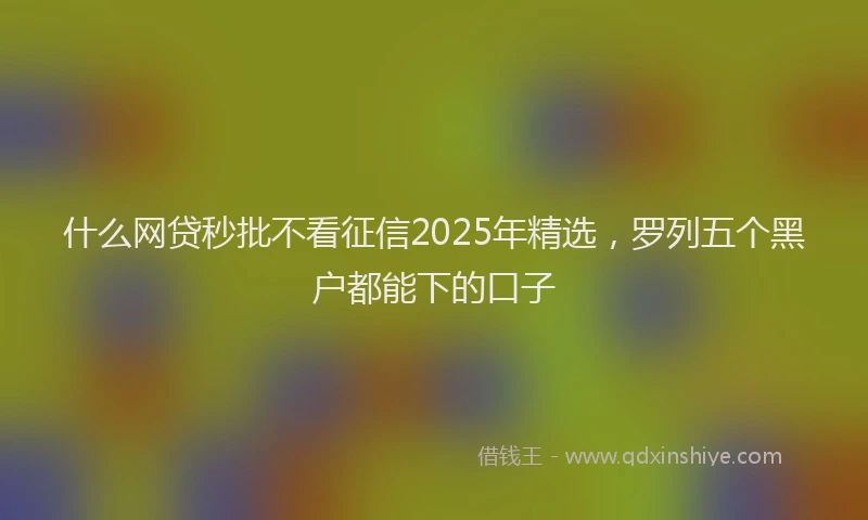 什么网贷秒批不看征信2025年精选，罗列五个黑户都能下的口子