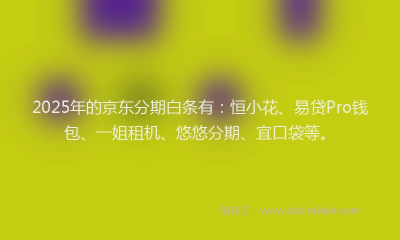 2025年的京东分期白条有:恒小花、易贷Pro钱包、一姐租机、悠悠分期、宜口袋等。