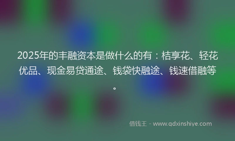 2025年的丰融资本是做什么的有：桔享花、轻花优品、现金易贷通途、钱袋快融途、钱速借融等。